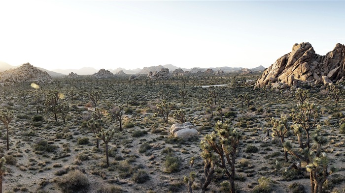 Горячие и засушливые пустыни, Windows 8 панорамные картинки на рабочий стол #9
