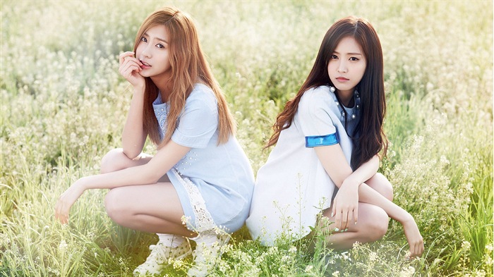 Корейская музыка группы девушки, розовый обои HD #9