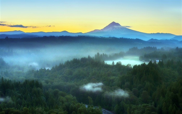 Misty Morgen Landschaft, Windows 8 Theme Wallpaper #9