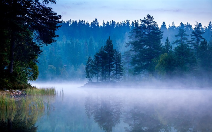 Misty Morgen Landschaft, Windows 8 Theme Wallpaper #14