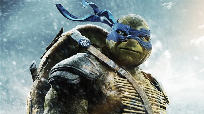 2014 Teenage Mutant Ninja Turtles-Film HD Hintergrundbilder #1