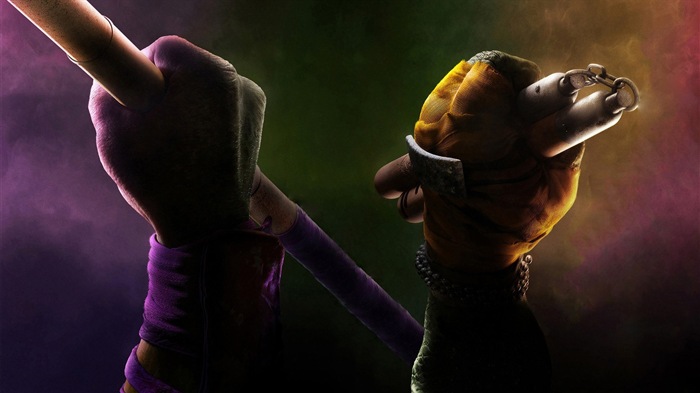2014 Teenage Mutant Ninja Turtles-Film HD Hintergrundbilder #10