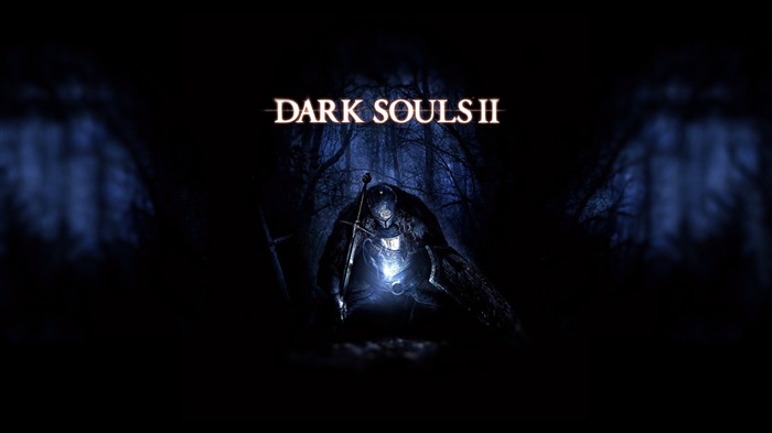 Dark Souls 2 игра HD обои для рабочего стола #13