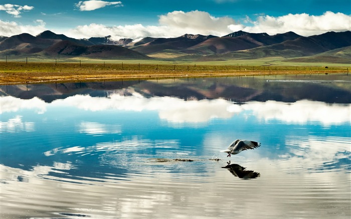 Plateau Qinghai beau fond d'écran de paysage #2
