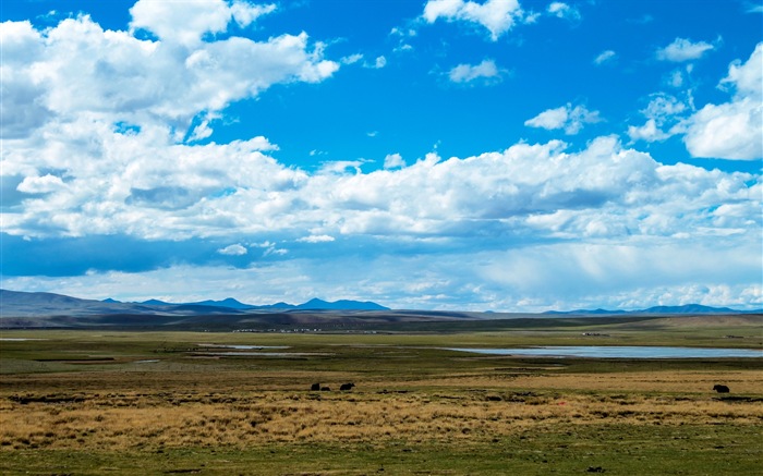 Plateau Qinghai beau fond d'écran de paysage #18