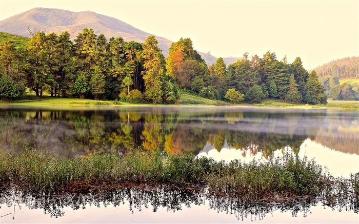 Саншайн лесные озера красота природы HD обои #14
