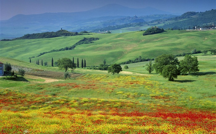 Belleza italiana pintado natural paisaje HD #6