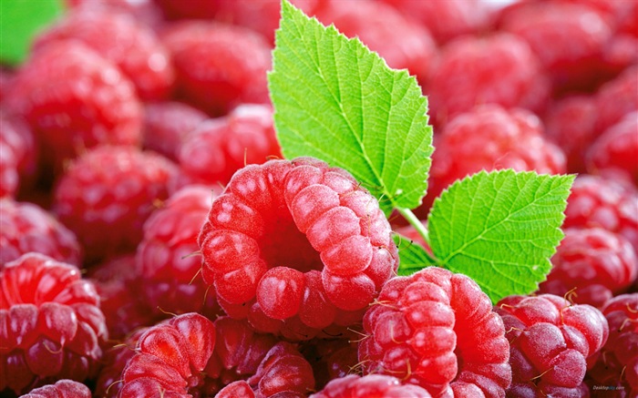 Sweet red raspberry HD wallpapers #1