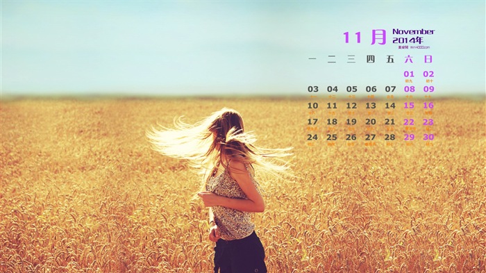 Ноябрь 2014 Календарь обои (1) #20
