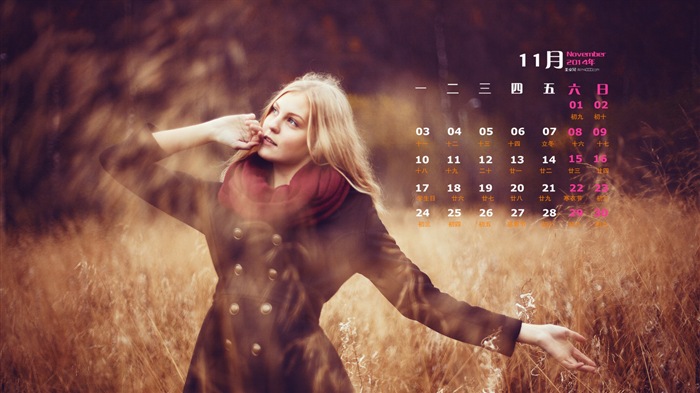 Ноябрь 2014 Календарь обои (2) #4