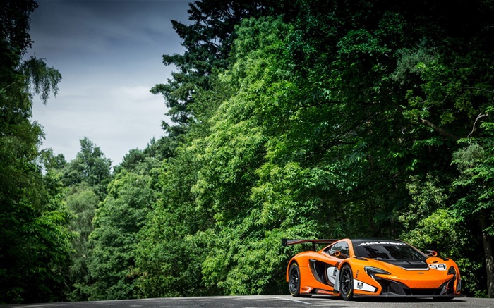 2015 суперкар HD обои McLaren 650S GT3 #7