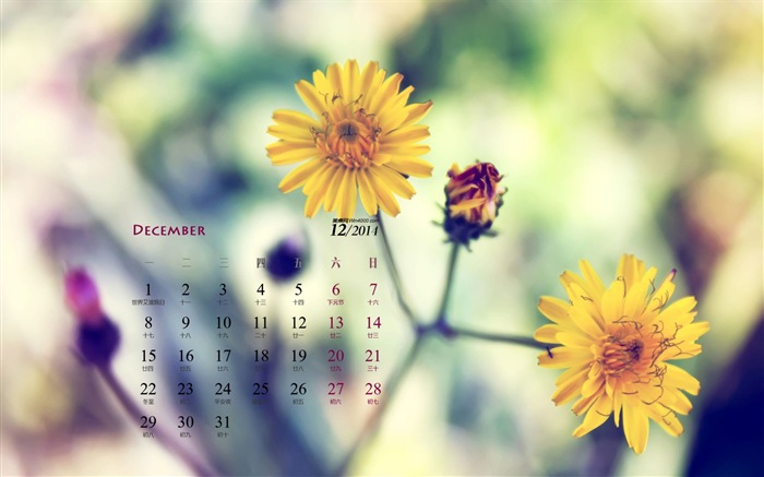 Декабрь 2014 Календарь обои (1) #10