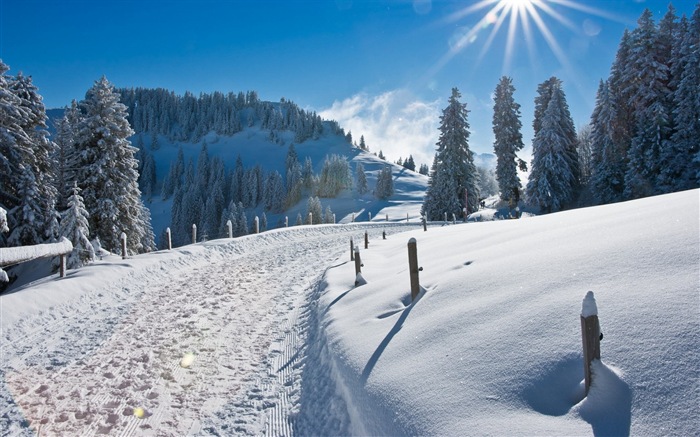 Hiver, neige, montagnes, lacs, arbres, routes fonds d'écran HD #6