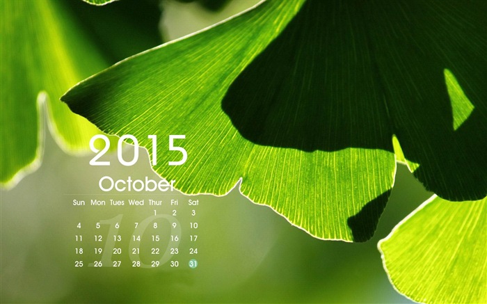 Calendario 2015 fondos de pantalla de alta definición #15