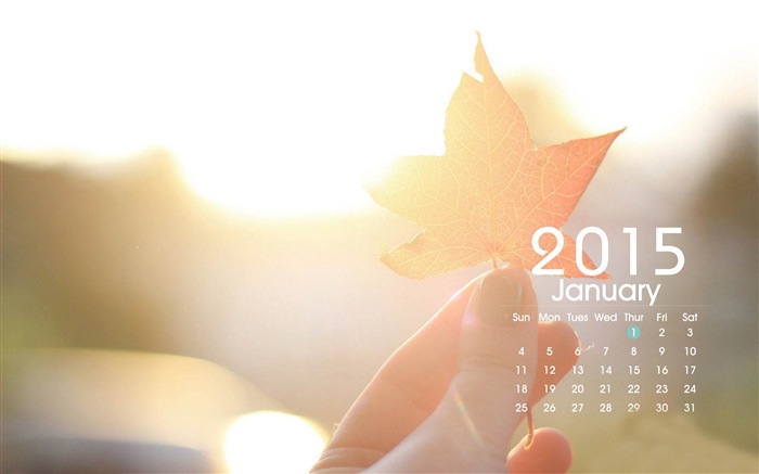 Calendario 2015 fondos de pantalla de alta definición #23
