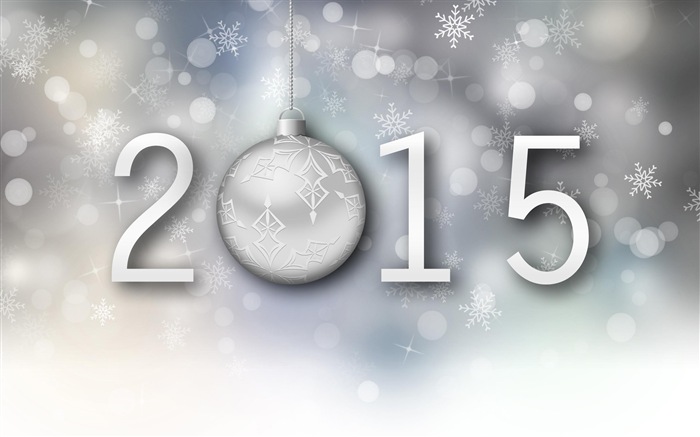 2015 Новый год тема HD обои (1) #4