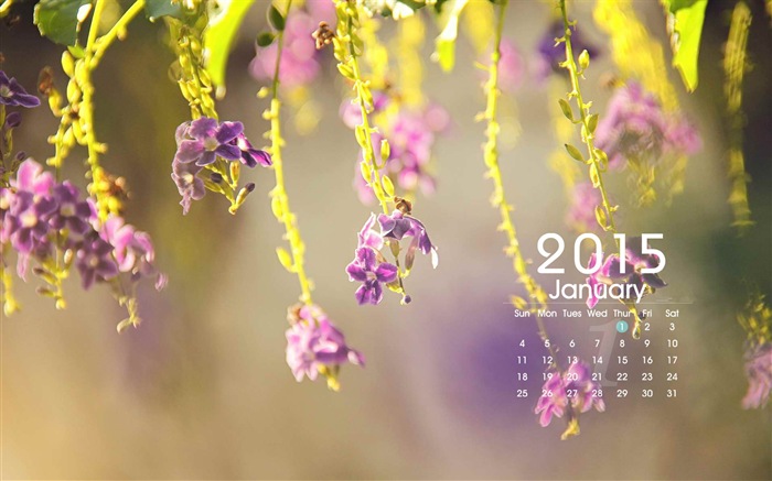 Январь 2015 календарный обои (1) #1