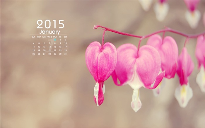Январь 2015 календарный обои (1) #9