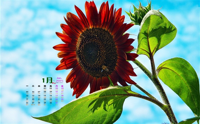 01. 2015 kalendář tapety (1) #14