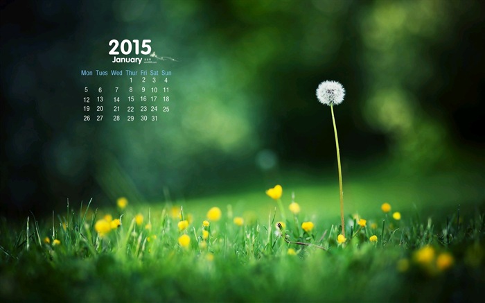Январь 2015 календарный обои (1) #15