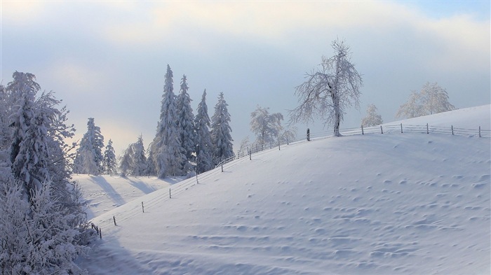 Зимний снег Обои красивые пейзажи #16