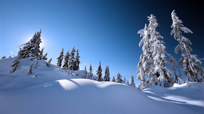 Зимний снег Обои красивые пейзажи #19