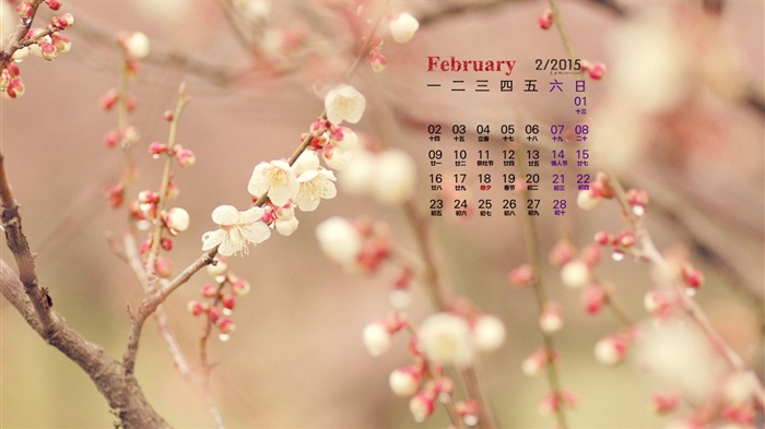 Февраль 2015 Календарь обои (1) #12