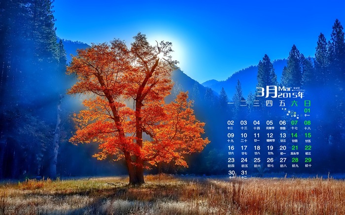 Март 2015 Календарь обои (1) #16