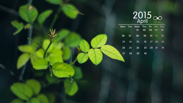 Dubna 2015 kalendář tapety (2) #14