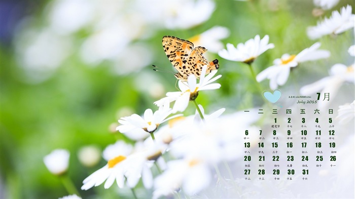Июль 2015 календарный обои (1) #4