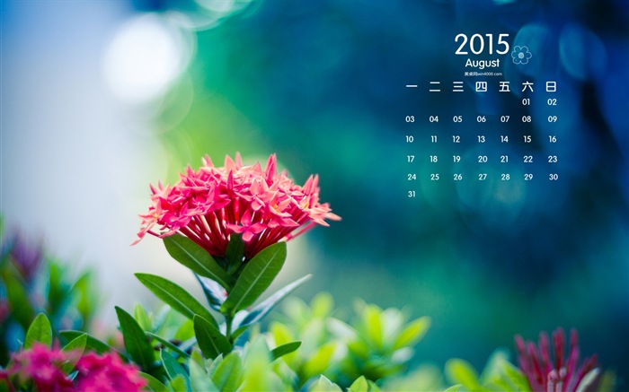 08 2015 fondos de escritorio calendario (1) #12