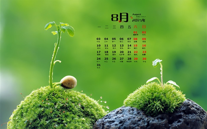 Август 2015 календарь обои (1) #16