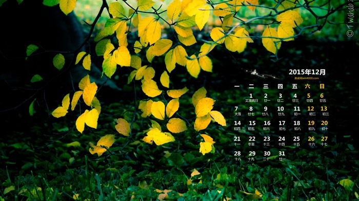 Декабрь 2015 Календарь обои (1) #7