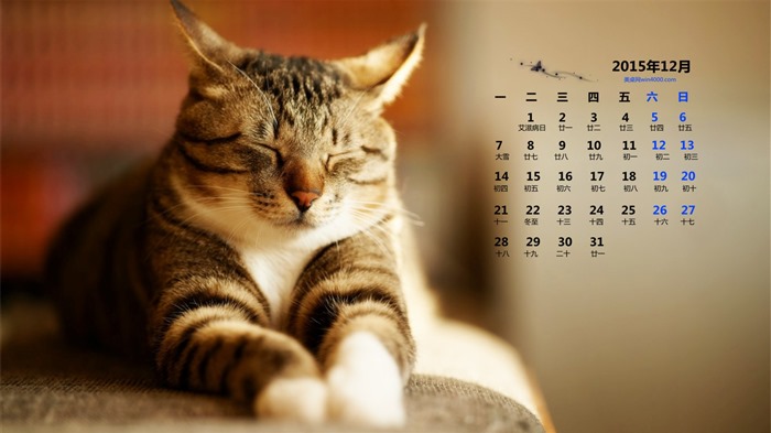 Декабрь 2015 Календарь обои (1) #14