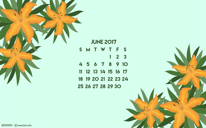 June 2017 calendar wallpaper #3