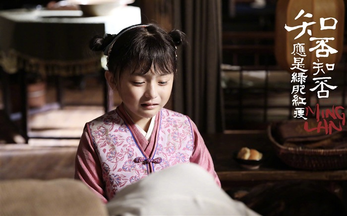 The Story Of MingLan, TV series HD wallpapers #5