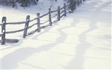 Snow Wald Wallpaper (3) #11