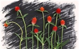 Květ Tapety na plochu výběr (1) #17