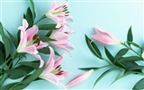 Flower Desktop Wallpaper Selection (1) #32
