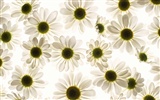 Flower Hintergrundbilder Selection (1) #40
