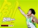 Liu's official website Wallpaper #2