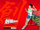 Liu's official website Wallpaper #3