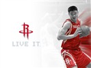 Houston Rockets Fond d'écran officiel #3