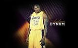 Los Angeles Lakers Fond d'écran officiel #2