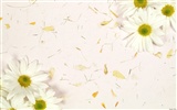 Fondo de pantalla cubierta de flores (2) #31