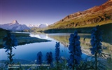 Suisse attractions fond d'écran d'été du tourisme #10