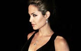 Angelina Jolie fond d'écran #10