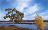 Un beau paysage naturel en Sibérie #13