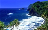 paisaje playa de Hawai #10
