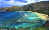 Hawaiianischer Strand Landschaft #11